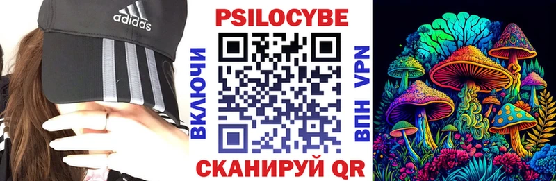 Галлюциногенные грибы Cubensis  Белокуриха 